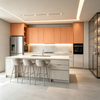 Modern Open‑Plan Kitchen Cabinet With Island Multi‑color Custom Kitchen